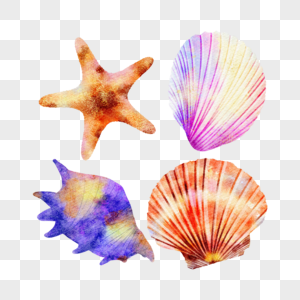 海洋贝壳组合水彩风格图片