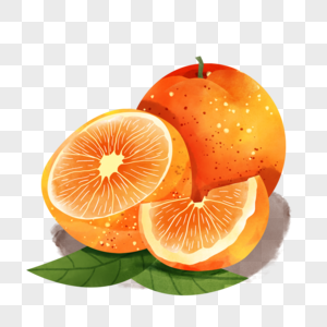 橘子水彩风格水果多汁图片