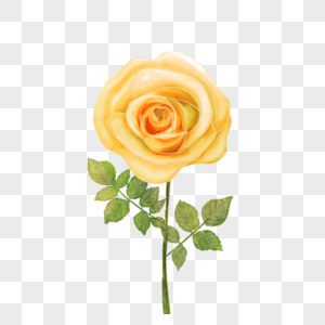 黄色水彩玫瑰婚礼花卉图片
