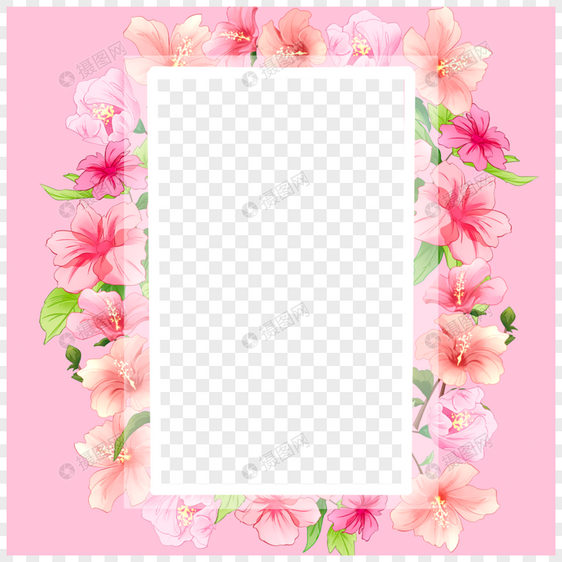 木槿花矩形半透明边框图片