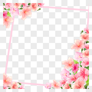 木槿花粉色条纹边框图片