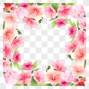 花丛木槿花边框图片