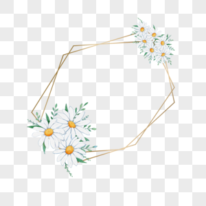 水彩洋甘菊花卉线条边框图片