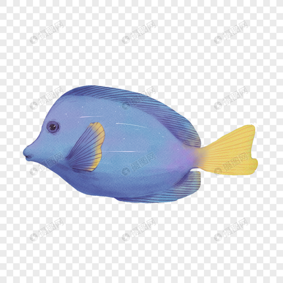 蓝色游鱼水彩海洋生物图片