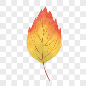 红黄渐变色水彩秋季树叶图片