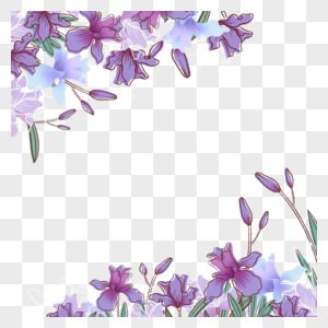 水彩紫色线条画花卉边框图片