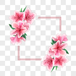 水彩杜鹃花卉粉色线条边框图片