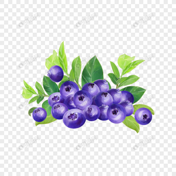 水彩蓝莓水果食物图片