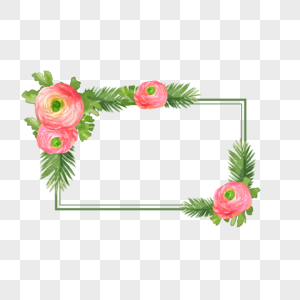 水彩婚礼花卉花毛茛绿色边框图片