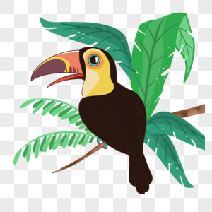 热带植物卡通夏季巨嘴鸟高清图片