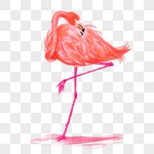 单腿站立火烈鸟鸟类动物水彩画粉红色图片
