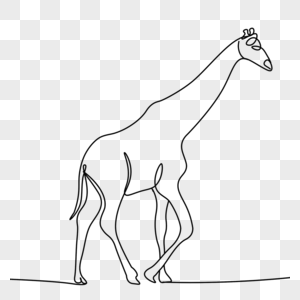 抽象线条画动物长颈鹿图片