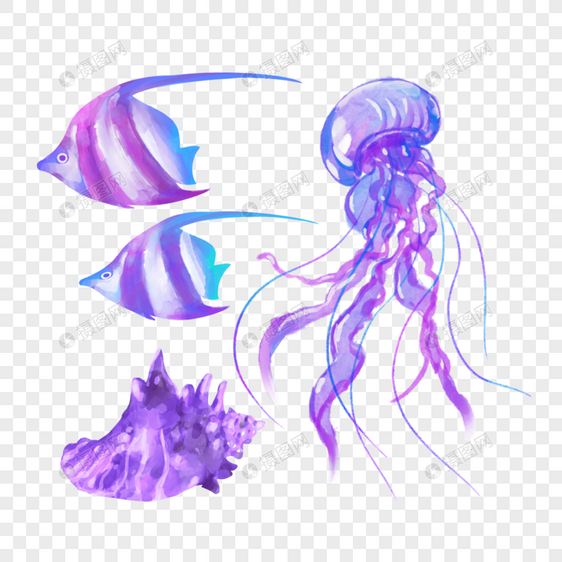 水彩海洋生物水母海螺图片