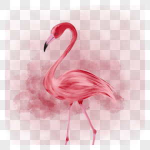 水彩火烈鸟白色微红素材高清图片