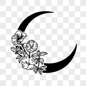 弯弯月牙月亮花卉线条图片