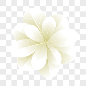 白色可爱花瓣花朵装饰图片