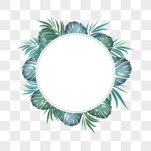 夏季热带绿色植物棕榈叶边框图片