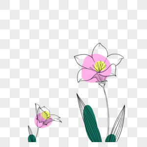 局部渲染叶子花朵简笔画水仙花图片