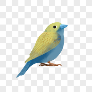 黄色翅膀水彩鸟类动物图片