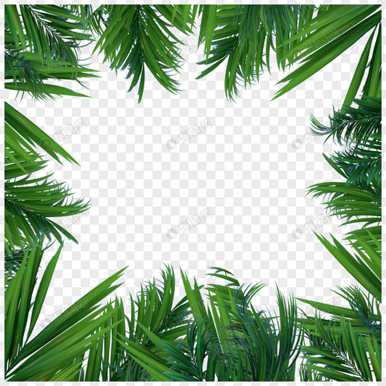 创意绿色夏季热带树叶植物边框图片