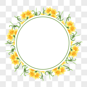 水彩水仙花卉圆形边框图片