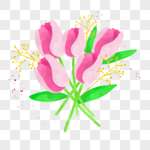 粉色水彩晕染风格郁金香花卉图片