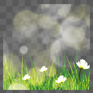 水嫩碧绿春天光效花卉边框图片