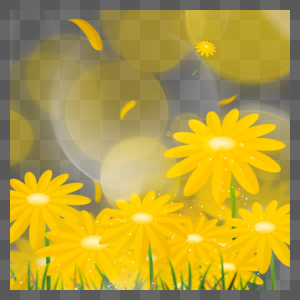 明黄色菊花春天光效花卉边框图片