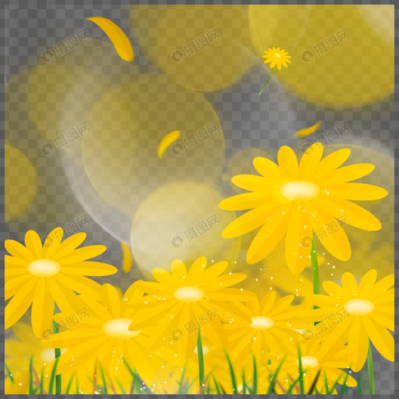 明黄色菊花春天光效花卉边框图片