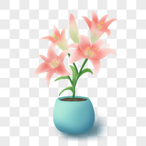 粉色可爱花朵室内植物盆栽图片