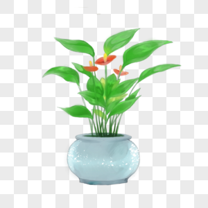 白瓷花盆可爱绿色室内植物盆栽图片