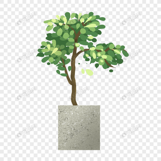 室内植物盆栽石墩小树图片