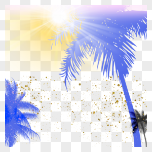 阳光照射下的椰树棕榈树边框图片