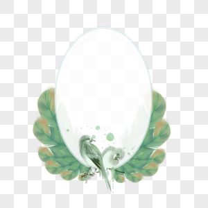 孔雀羽毛形状绿色的边框图片