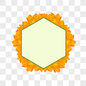 六边形黄色万寿菊边框图片