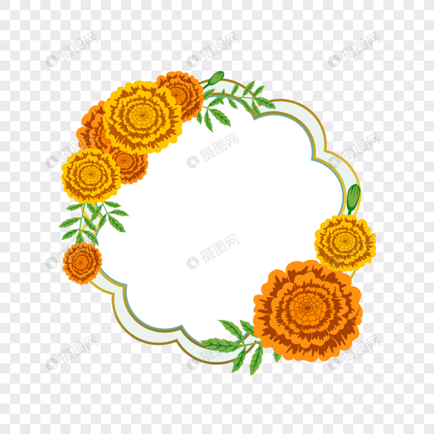 花型黄色万寿菊边框图片