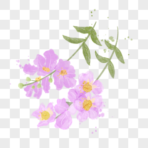 紫薇花水彩风格花朵树枝图片