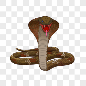 蛇鳞图片 蛇鳞素材 蛇鳞高清图片 摄图网图片下载