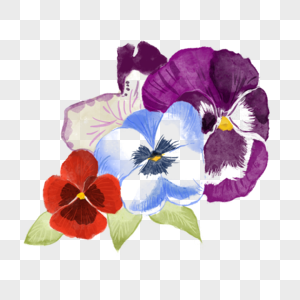 三色堇水彩风格花卉蝴蝶花图片
