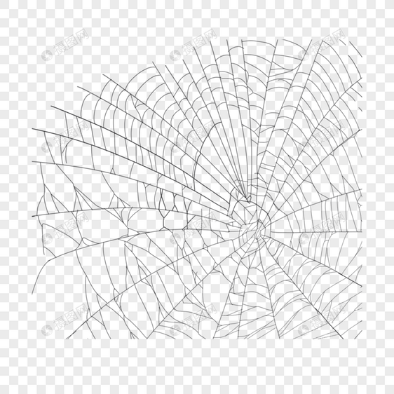 蜘蛛丝蜘蛛网蜘蛛线条图片
