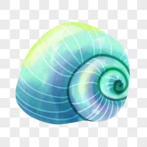 鹦鹉螺海螺蓝色绿色图片图片