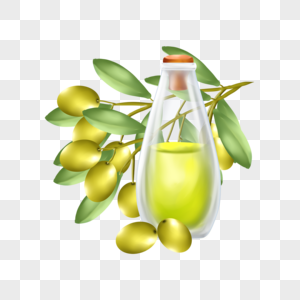 橄榄油橄榄树叶液体油高清图片