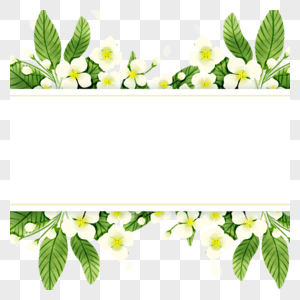 茉莉花叶子黄色边框图片