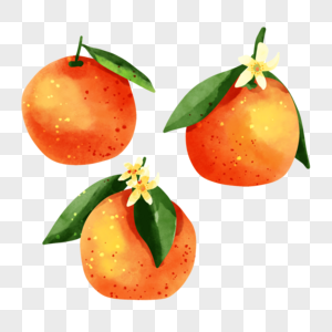 橘子水彩风格水果组合图片
