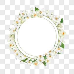 茉莉花边框圆形几何水彩花卉图片