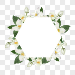 茉莉花边框六边形水彩花卉图片