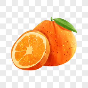 水彩风格水果橘子夏天果实图片
