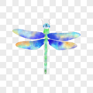 水彩插画蓝色蜻蜓图片
