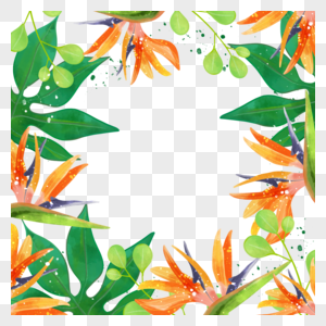 水彩热带树叶鹤望兰花卉边框植物高清图片