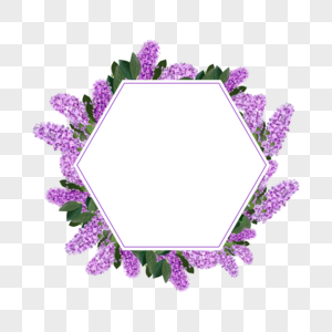 水彩丁香花卉婚礼六边形边框图片